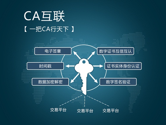 CA互联